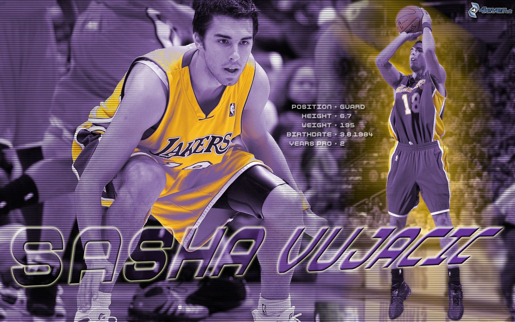 [obrazky.4ever.sk]-sasha-vujacic-la-lakers-nba-los-angales-basketbalista-basketbal-sport-muz-chlap-7665872.jpg